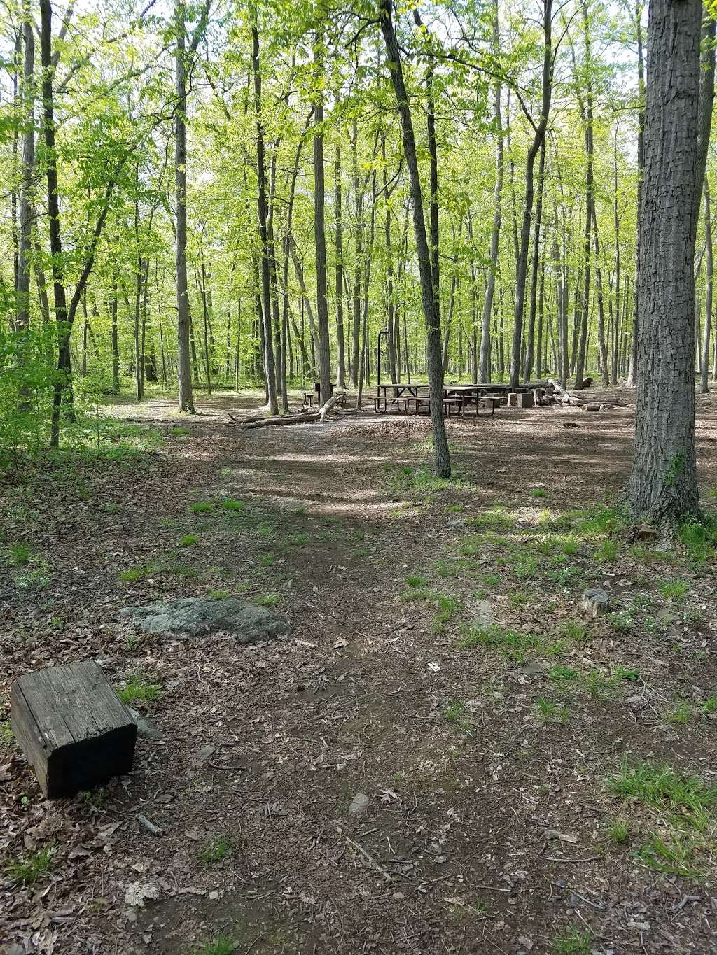 Marsden Tract Group Campground | Potomac, MD 20854