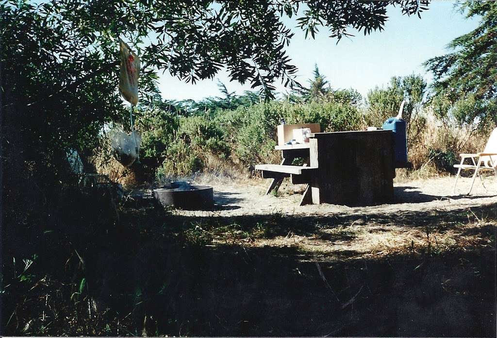 Bodega Dunes Campground | 3095 CA-1, Bodega Bay, CA 94923, USA | Phone: (707) 875-3483