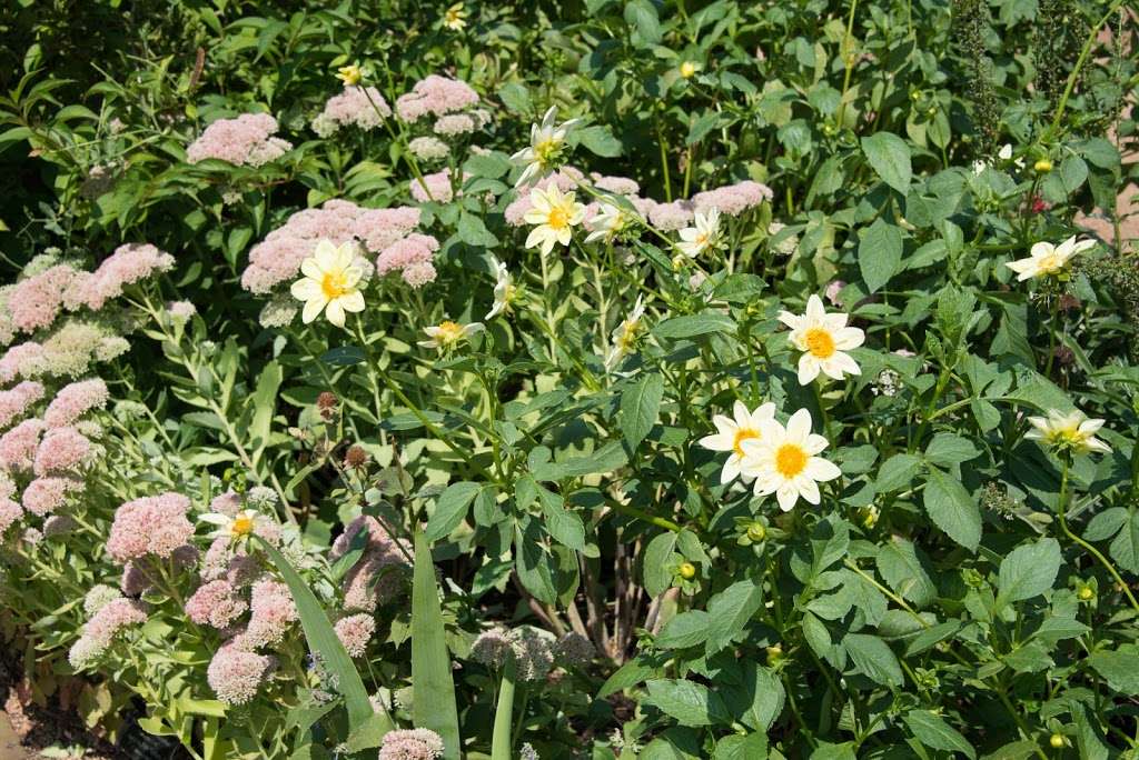 English Walled Garden | Glencoe, IL 60022, USA