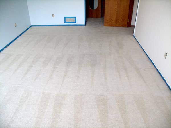 The DeSoto Carpet Cleaning | 208 S Hampton Rd, DeSoto, TX 75115, USA | Phone: (972) 372-4731