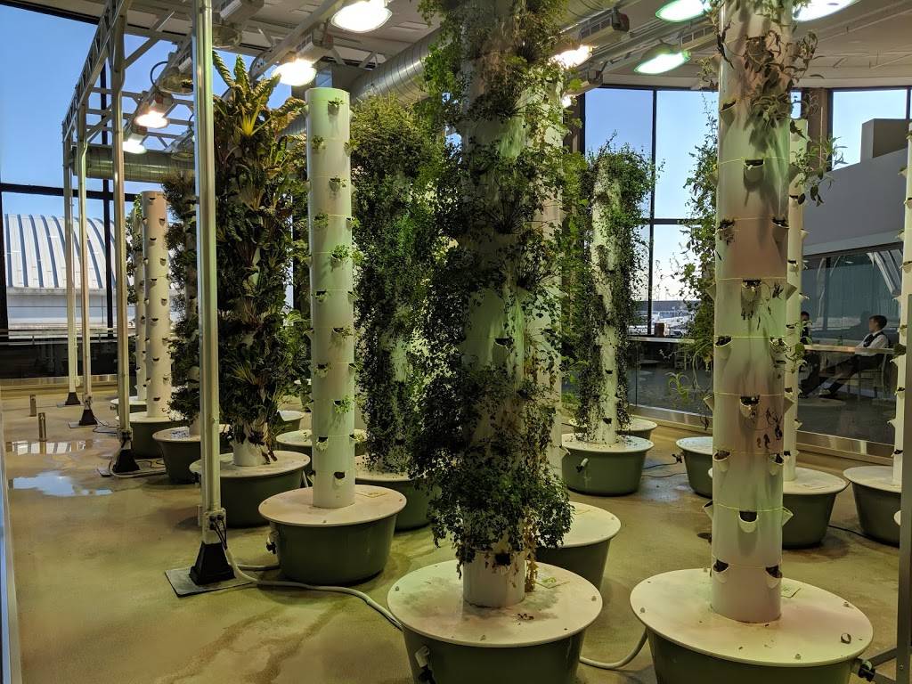 Rotunda Tower Garden | OHare Airport Terminal 3, Rotunda, Mezzanine Level, Chicago, IL 60666, USA | Phone: (800) 832-6352