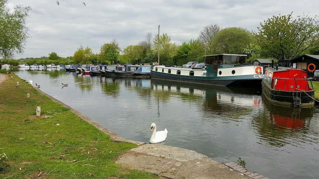 Amwell Quarry Nature Reserve | Ware SG12, UK