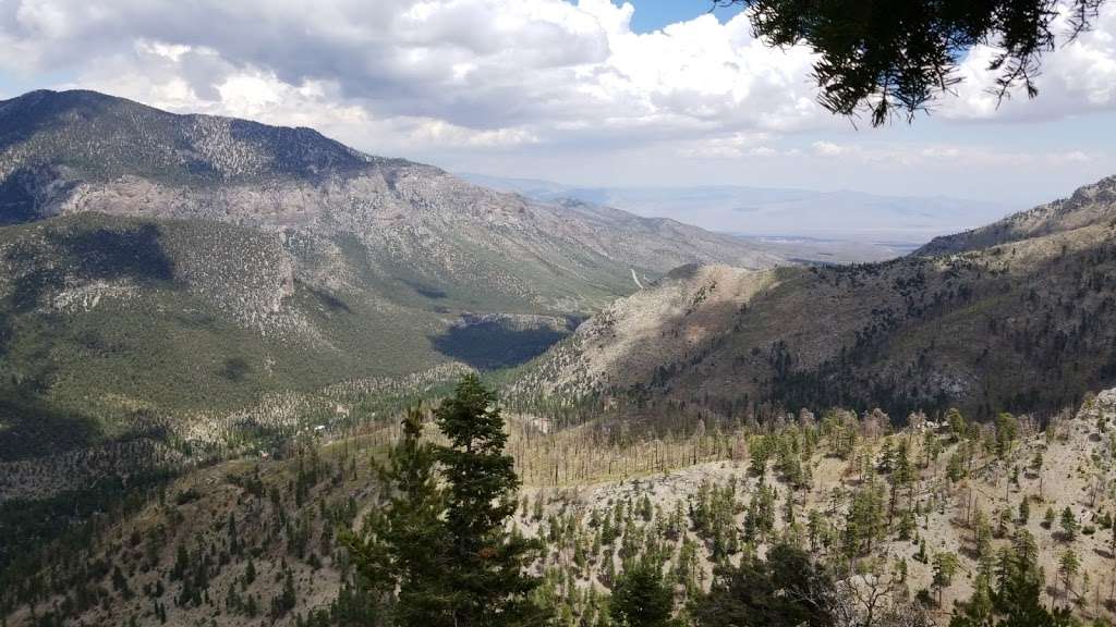 Echo Overlook | South Loop, Mt Charleston, NV 89124, USA