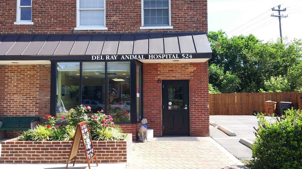 Del Ray Animal Hospital | 1147, 524 E Mt Ida Ave, Alexandria, VA 22301, USA | Phone: (703) 739-0000