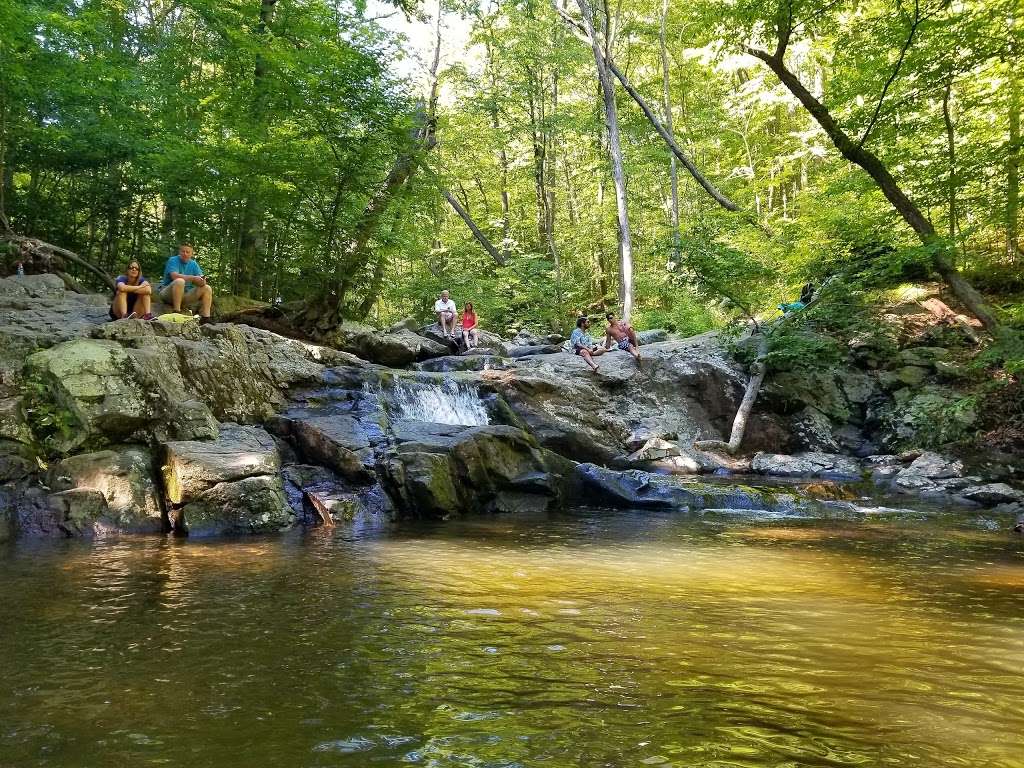 Buttermilk Falls | Mendham, NJ 07945