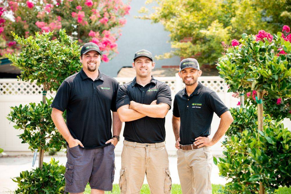 Next Generation Pest Control | 613 Jackson Ct, Brentwood, CA 94513, USA | Phone: (209) 923-3812