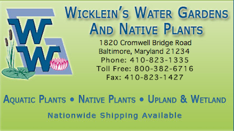 Wickleins Water Gardens | 1820 Cromwell Bridge Rd, Baltimore, MD 21234, USA | Phone: (410) 823-1335