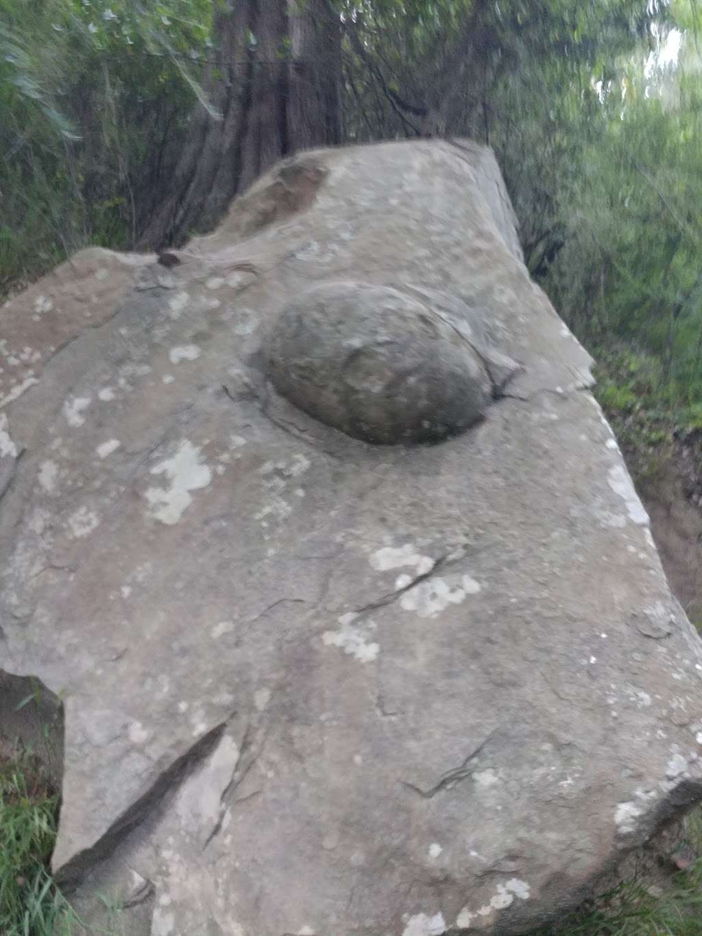 Moon Gate | Connector Trail, Oakland, CA 94611