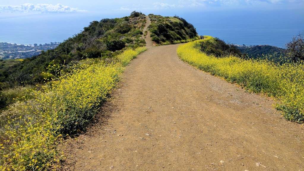 Los Liones Trail | Pacific Palisades, CA 90272, USA