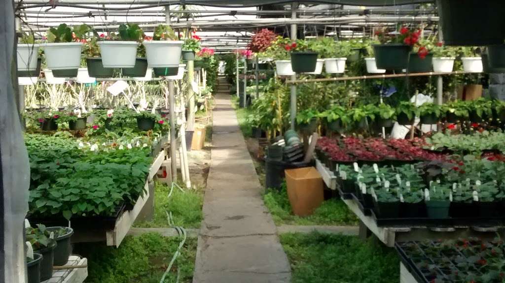 Jrn Nursery 4809 Breen Dr Houston Tx 77086 Usa Jrn Nursery 4809 Breen Dr Houston Tx