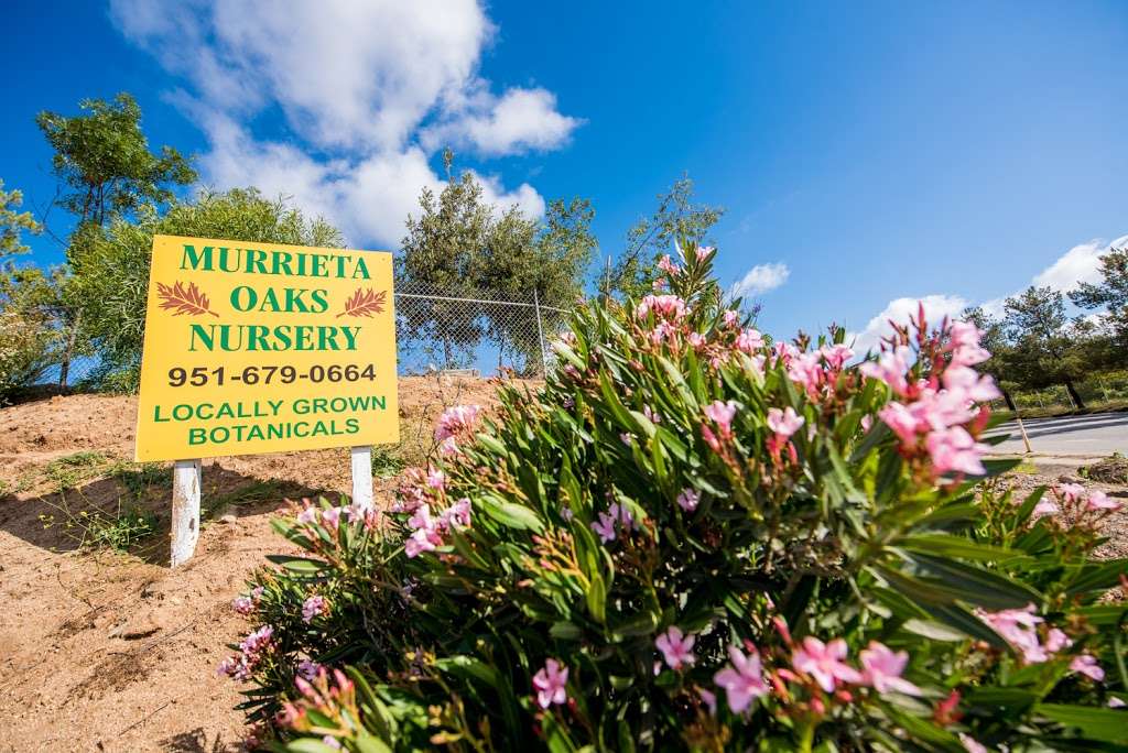 Murrieta Oaks Nursery | 35921 Greer Rd, Murrieta, CA 92562 | Phone: (951) 679-0664