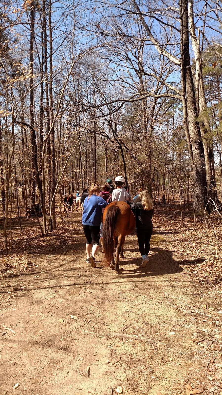 Wings of Eagles Ranch | 4800 Faith Trails, Concord, NC 28025, USA | Phone: (704) 784-3147