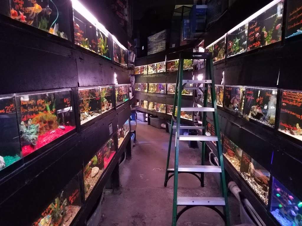 Ricks Fish & Pet Supply | 1003 W Patrick St J, Frederick, MD 21702 | Phone: (301) 694-9664