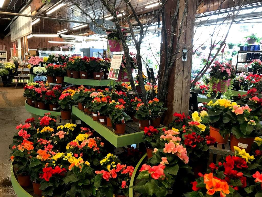 Mahoneys Garden Center | 242 Cambridge St, Winchester, MA 01890 | Phone: (781) 729-5900