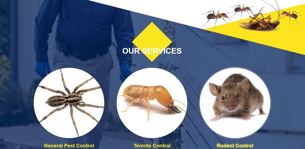 Brady Pest Control | 7315 Vienta Point, Grand Prairie, TX 75054, USA | Phone: (817) 714-5875