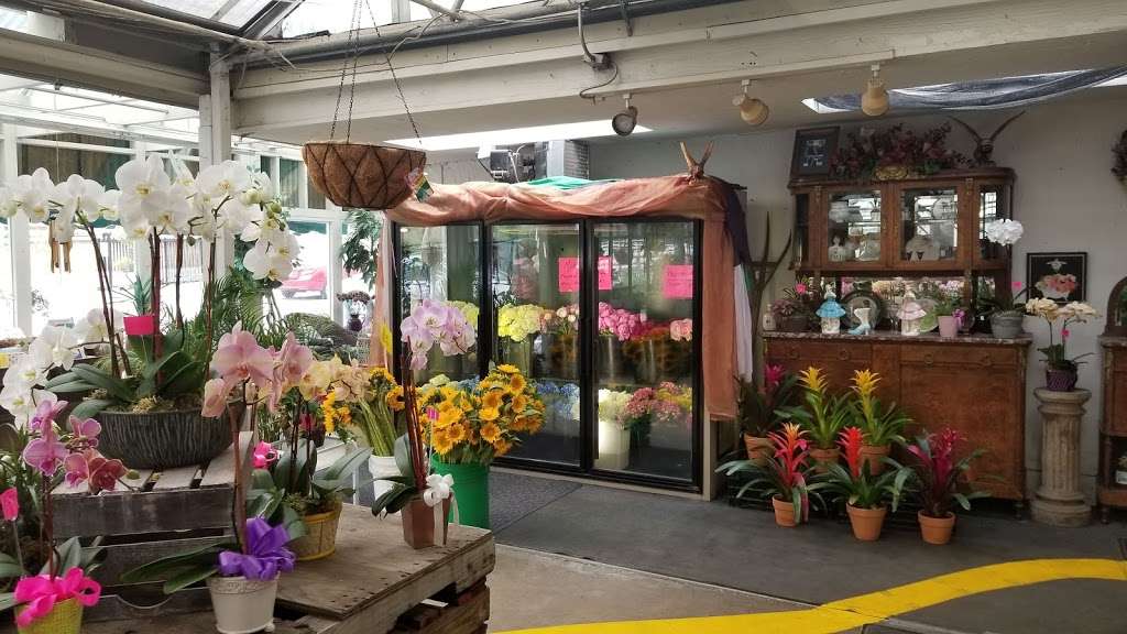 Repetto Florist and Nursery | 12331 San Mateo Rd, Half Moon Bay, CA 94019 | Phone: (650) 726-6414