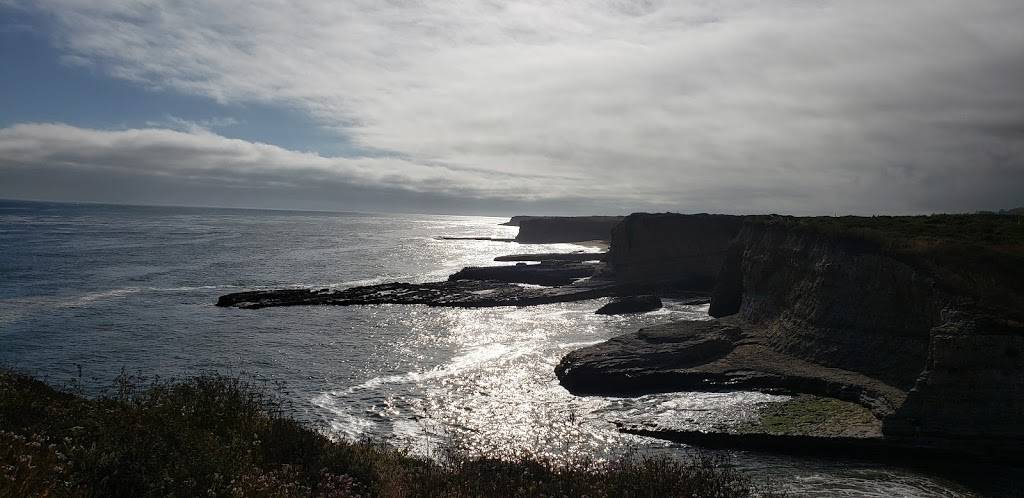 Fern Grotto Beach | Santa Cruz, CA 95060, USA | Phone: (831) 423-9703