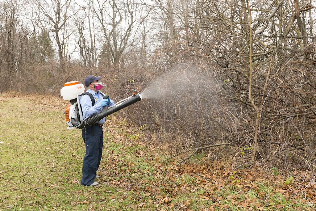 Frames Pest Control, Inc. | 4947 W Alexis Rd, Sylvania, OH 43560, USA | Phone: (419) 513-8539