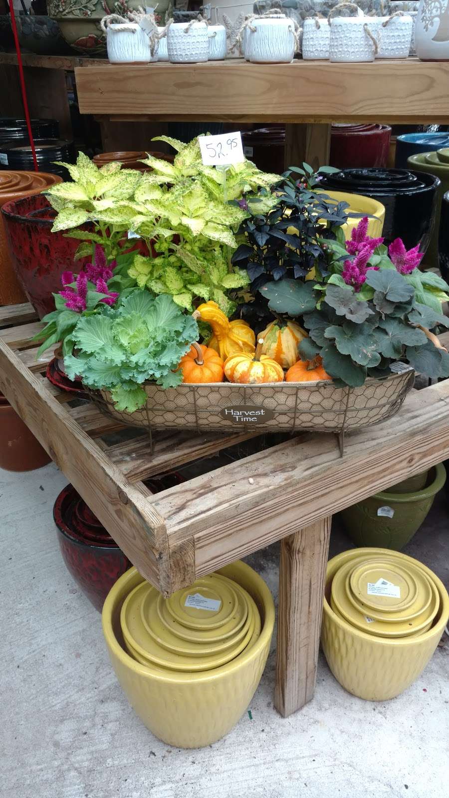 Pepper Greenhouses | 13034 Cedar Creek Rd, Milton, DE 19968, USA | Phone: (302) 684-8092