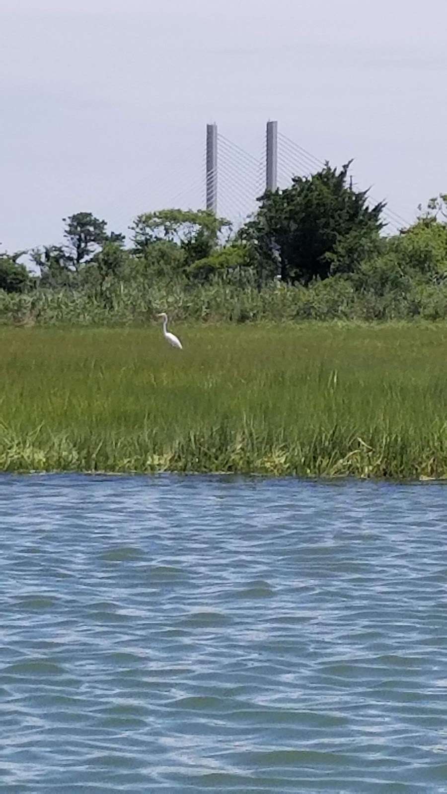 Burton Island Nature Preserve | Bethany Beach, DE 19930