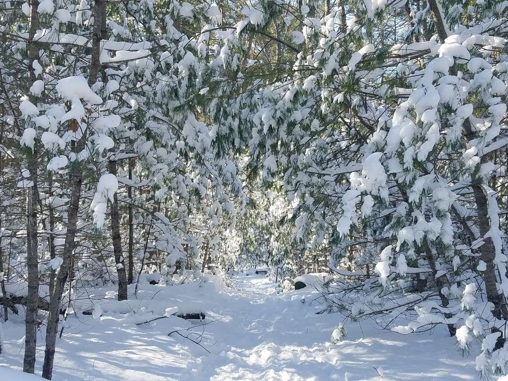 Trout Farm Conservation Land | Duxbury, MA 02332, USA