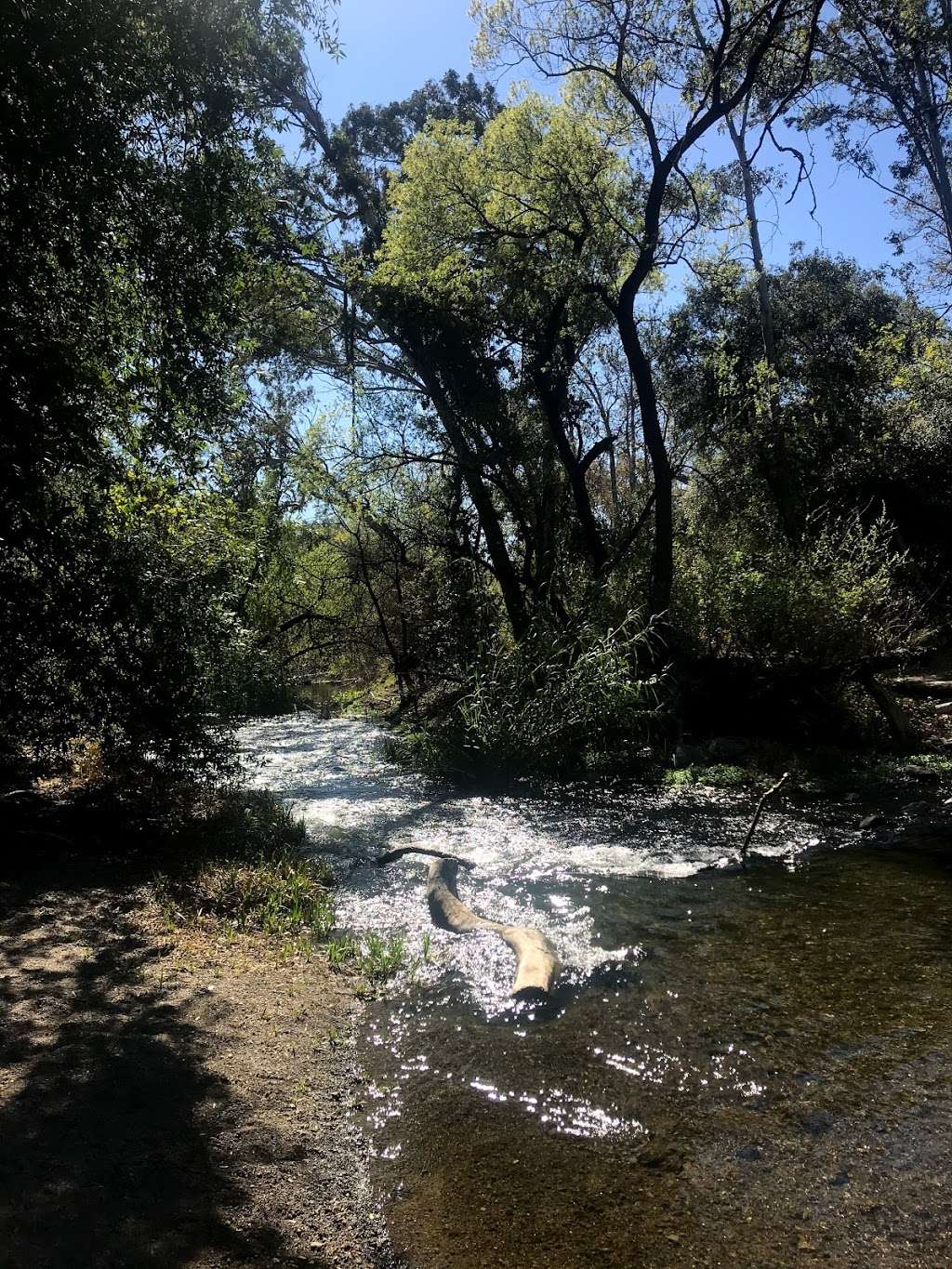 Coyote Creek Trail | Coyote Creek Trail, Morgan Hill, CA 95037 | Phone: (408) 779-3634