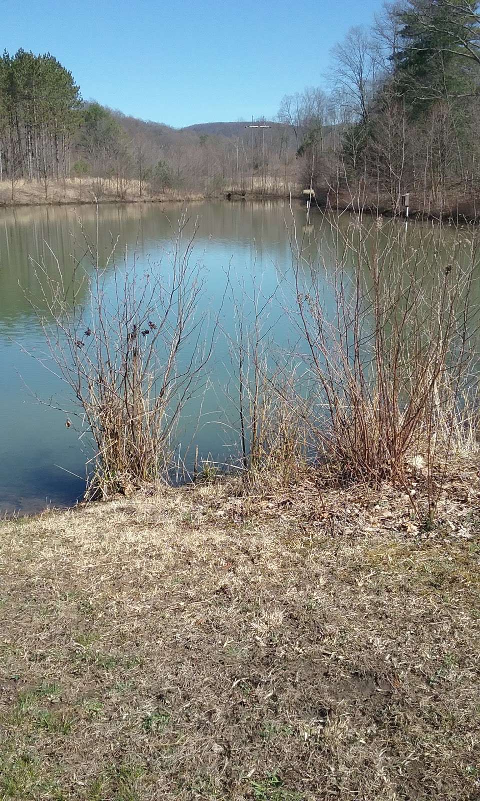 Bolich Wetland Project And Senator James J. Rhodes Nature Trail | 71 Bolich Rd, Ashland, PA 17921, USA