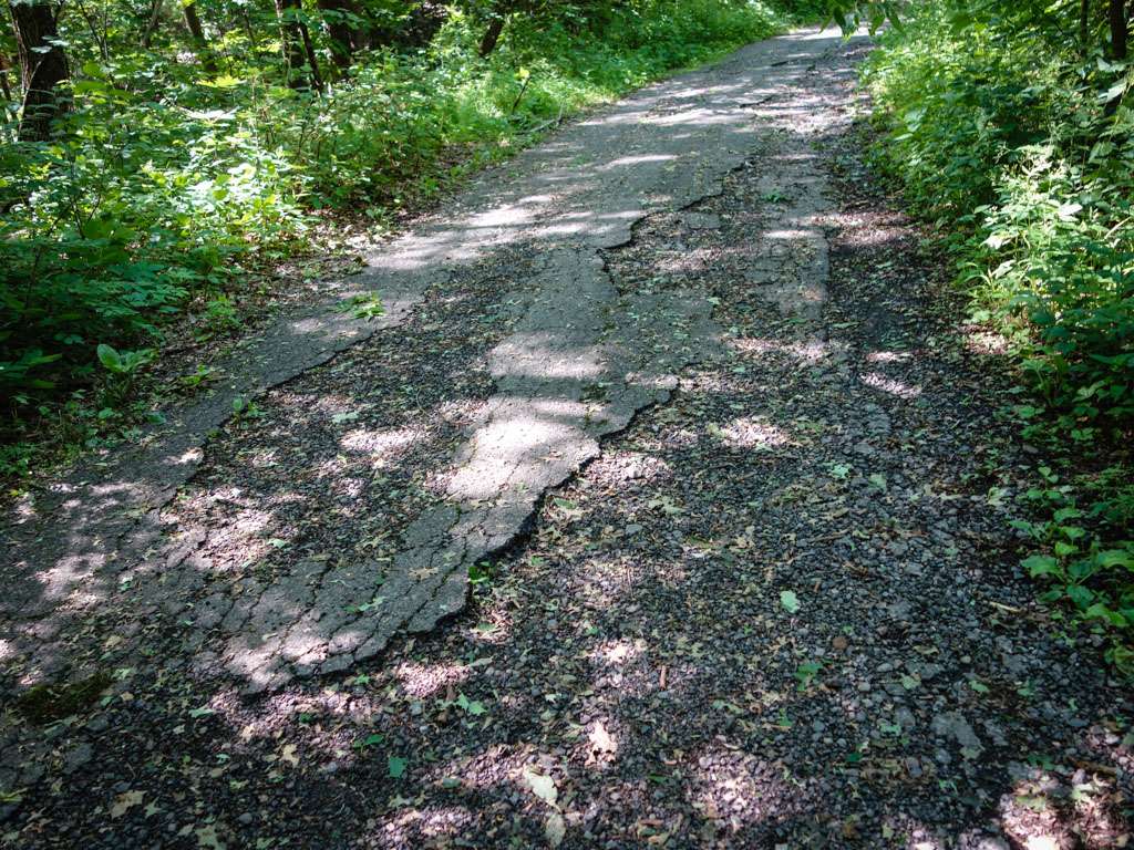 Mt. Minsi - Appalachian Trail Parking | Lake Rd, Bangor, PA 18013, USA