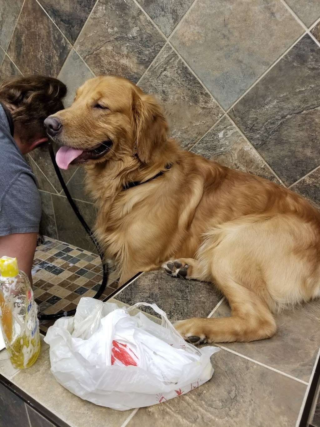 Pet Valu | 104 Baltimore Pike, Springfield, PA 19064, USA | Phone: (484) 479-3428