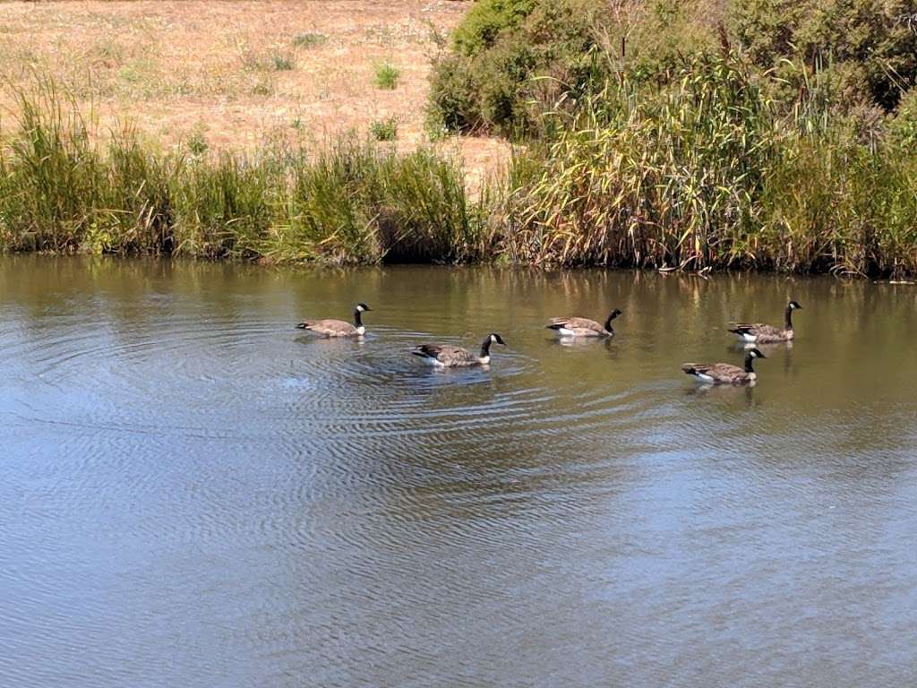 San mateo park | 1701 Coyote Point Dr, San Mateo, CA 94401, USA