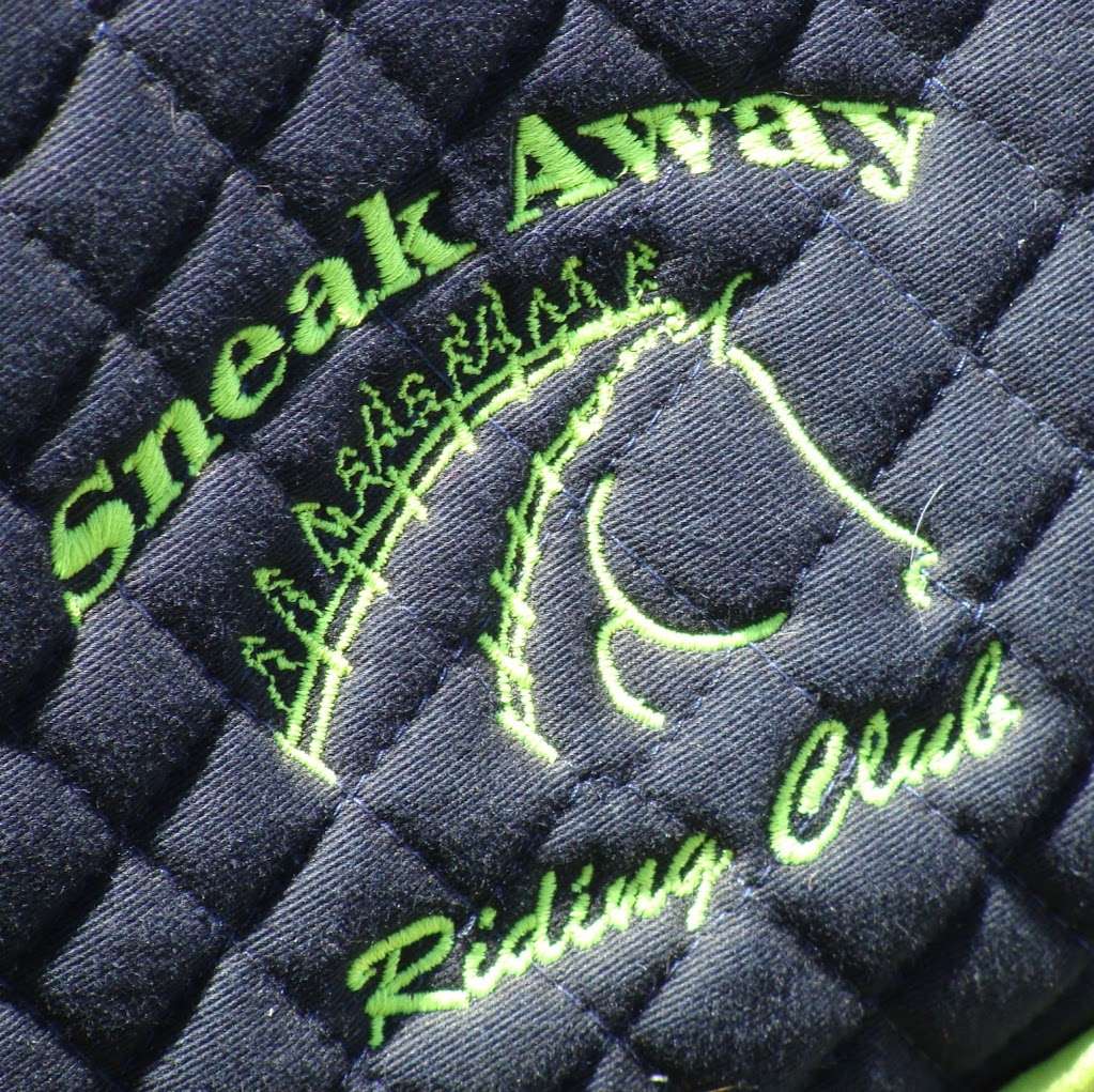 Sneak Away Riding Club | 25530 Zube Rd, Hockley, TX 77447, USA | Phone: (281) 793-1325