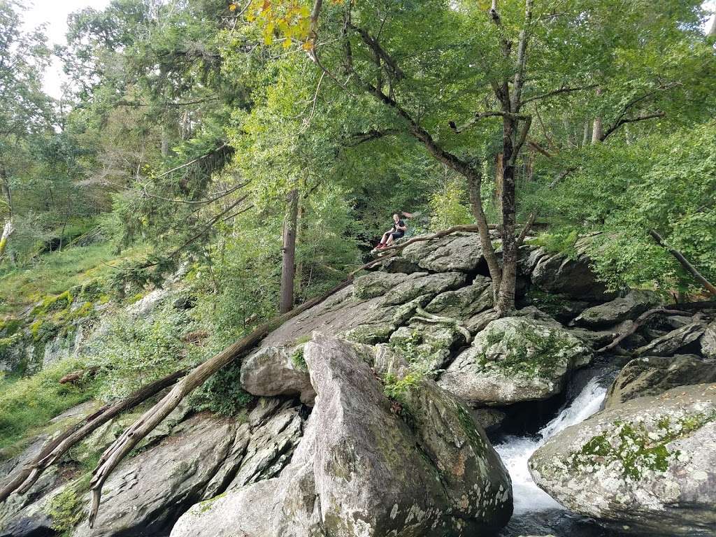 Cunningham Falls - northern trailend viewpoint | Smithsburg, MD 21783, USA