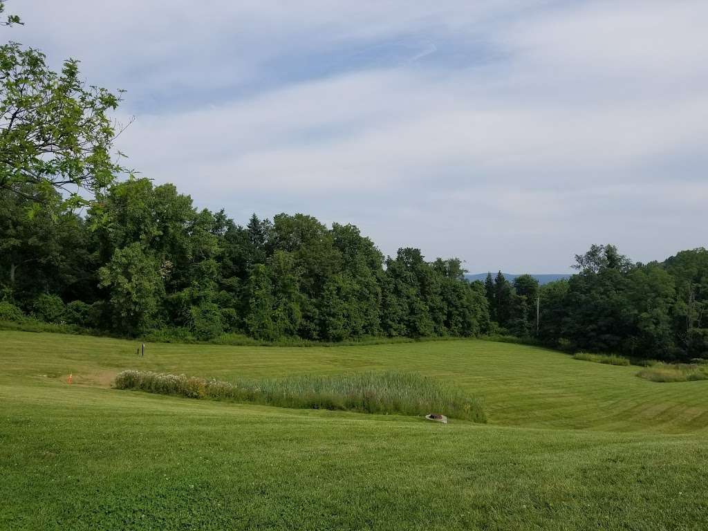 Beagle Bog | Stormville, NY 12582, USA