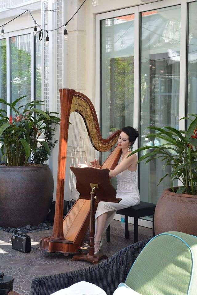 The Elegant Harp | 7030 Half Moon Cir #219, Hypoluxo, FL 33462, USA | Phone: (561) 702-4277
