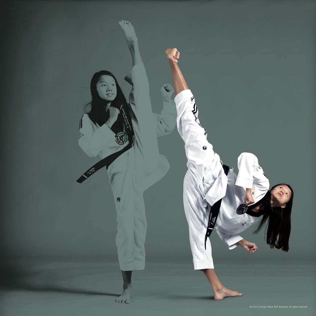 CHUNG’S BLACKBELT ACADEMY | Muskego Plaza, W Janesville Rd, Muskego, WI 53150 | Phone: (414) 422-1399