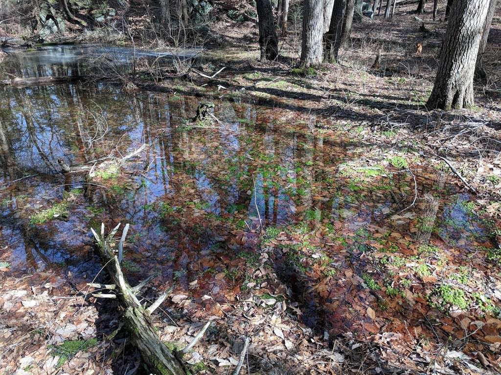 Clarence Fahnestock State Park | Clarence Fahnestock State Park, Putnam Valley, NY 10579, USA