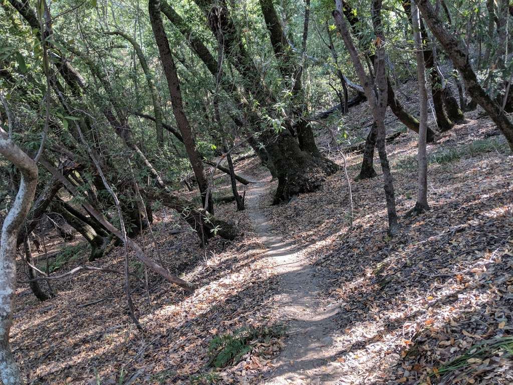 Trailhead | Oak Manor Fire Rd, San Anselmo, CA 94960, USA