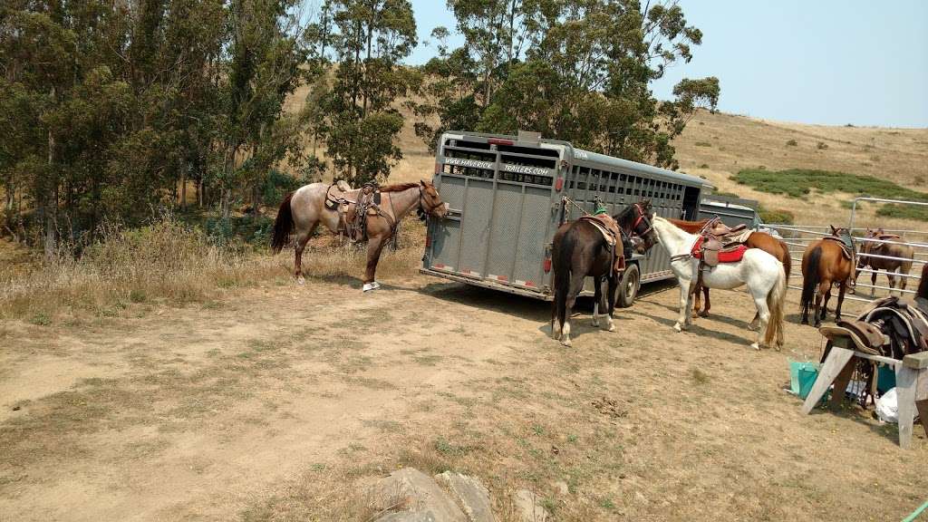 Horse N Around Trail Rides | 18797 CA-1, Bodega Bay, CA 94923, USA | Phone: (707) 875-3333