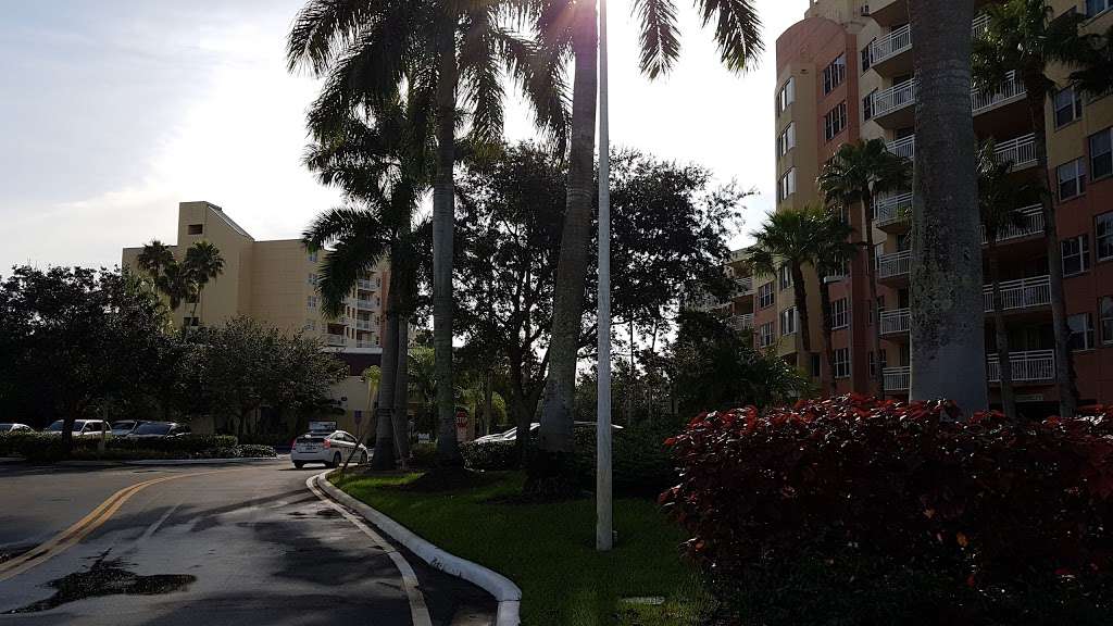 Flamingo II | 212 Bonaventure Blvd, Weston, FL 33326