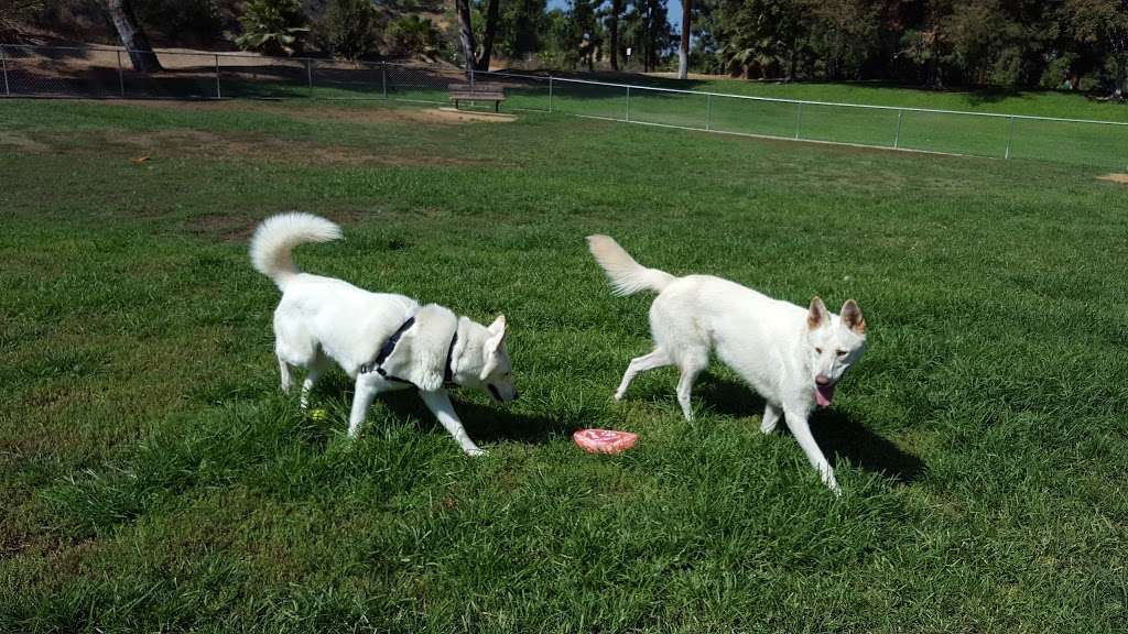 Redlands Dog Park | Roosevelt Rd, Redlands, CA 92374, USA | Phone: (909) 798-7655