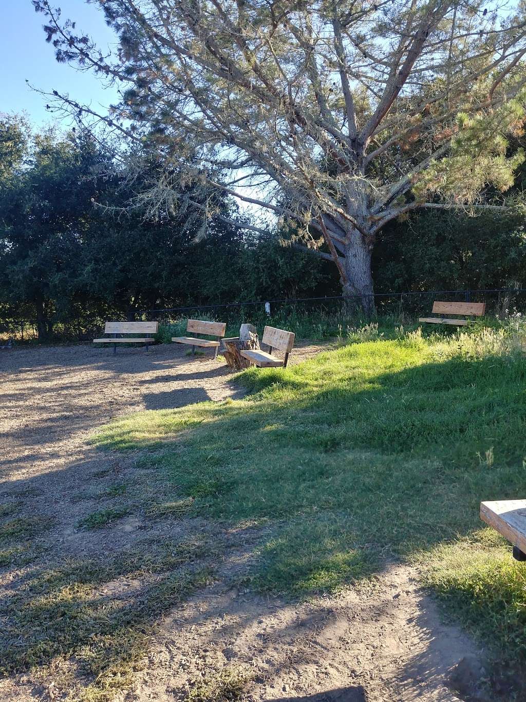 Ragle Ranch Dog Park | Sebastopol, CA 95472, USA