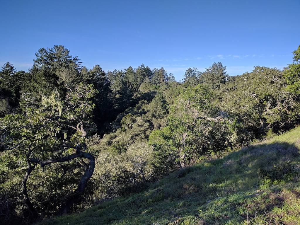 Moore Creek Preserve | Moore Creek Trail, Santa Cruz, CA 95060, USA | Phone: (831) 420-5270
