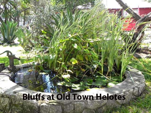 Bluffs at Old Town Helotes | 14391 Riggs Rd, Helotes, TX 78023, USA | Phone: (210) 695-4646