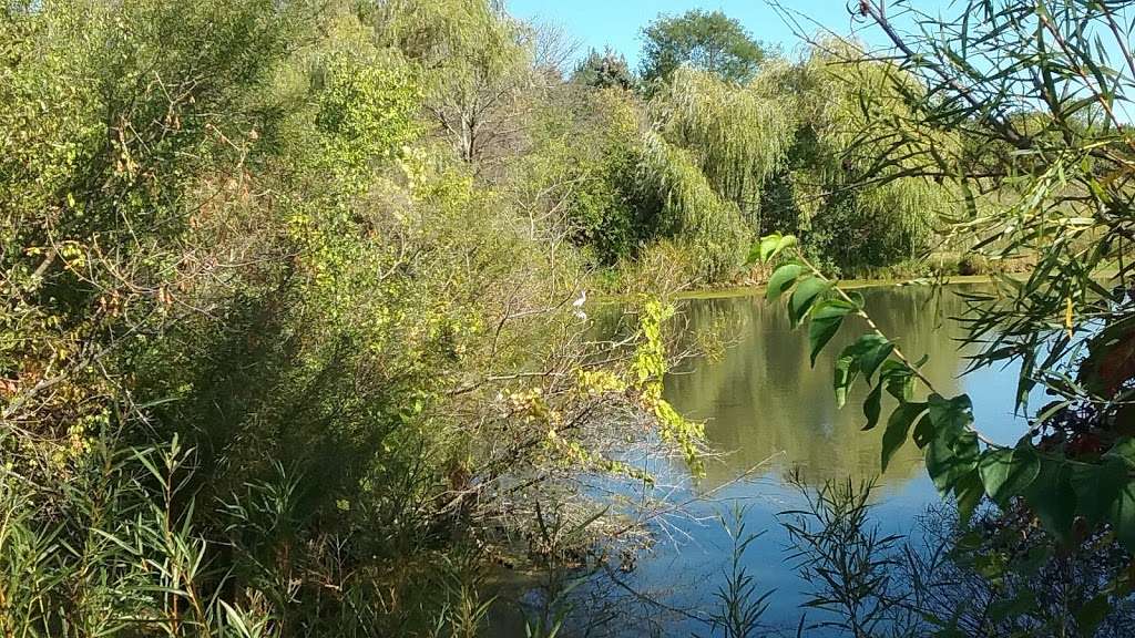 Plum Grove Reservoir Park | Palatine, IL 60067, USA