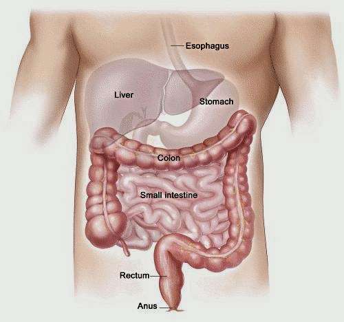 Certified Colon Hydrotherapy | 18800 Delaware St, Huntington Beach, CA 92648 | Phone: (714) 235-7050