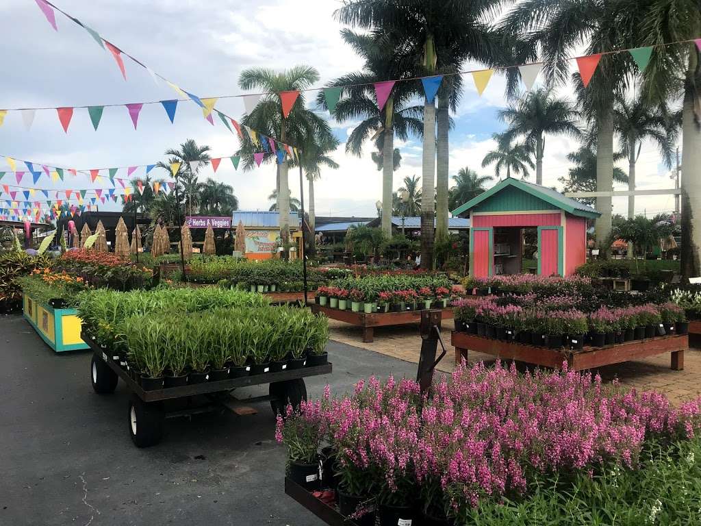 Flamingo Road Nursery | 1655 S Flamingo Rd, Davie, FL 33325, USA | Phone: (954) 476-7878