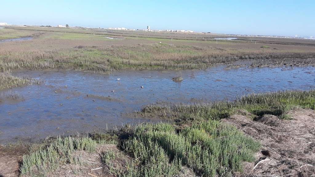 San Diego Bay National Wildlife Refuge | 6010 Hidden Valley Rd, Chula Vista, CA 91910, USA | Phone: (619) 476-9150