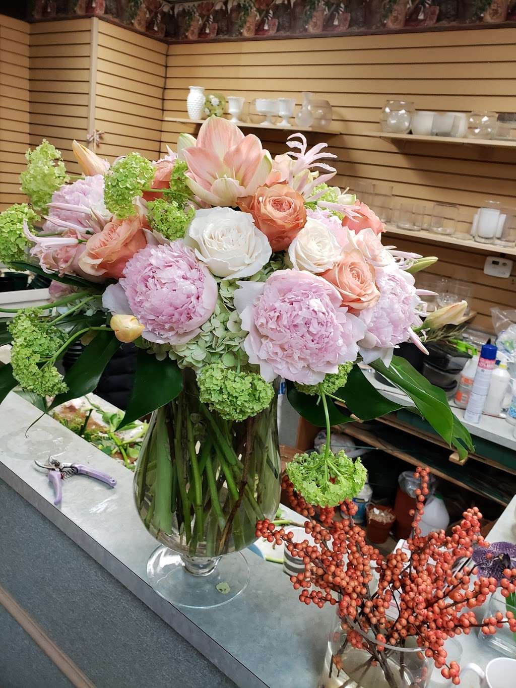 Beautiful Buds | 299 Westwood Ave., Westwood, NJ 07675, USA | Phone: (800) 959-0409