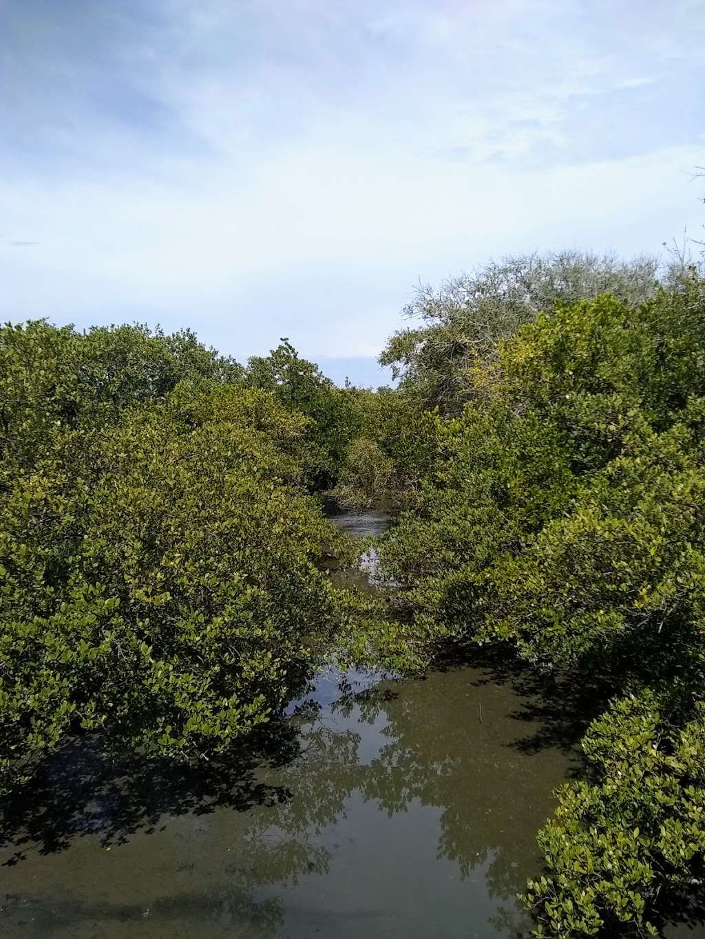 Ponce Preserve | Ponce Inlet, FL 32127, USA