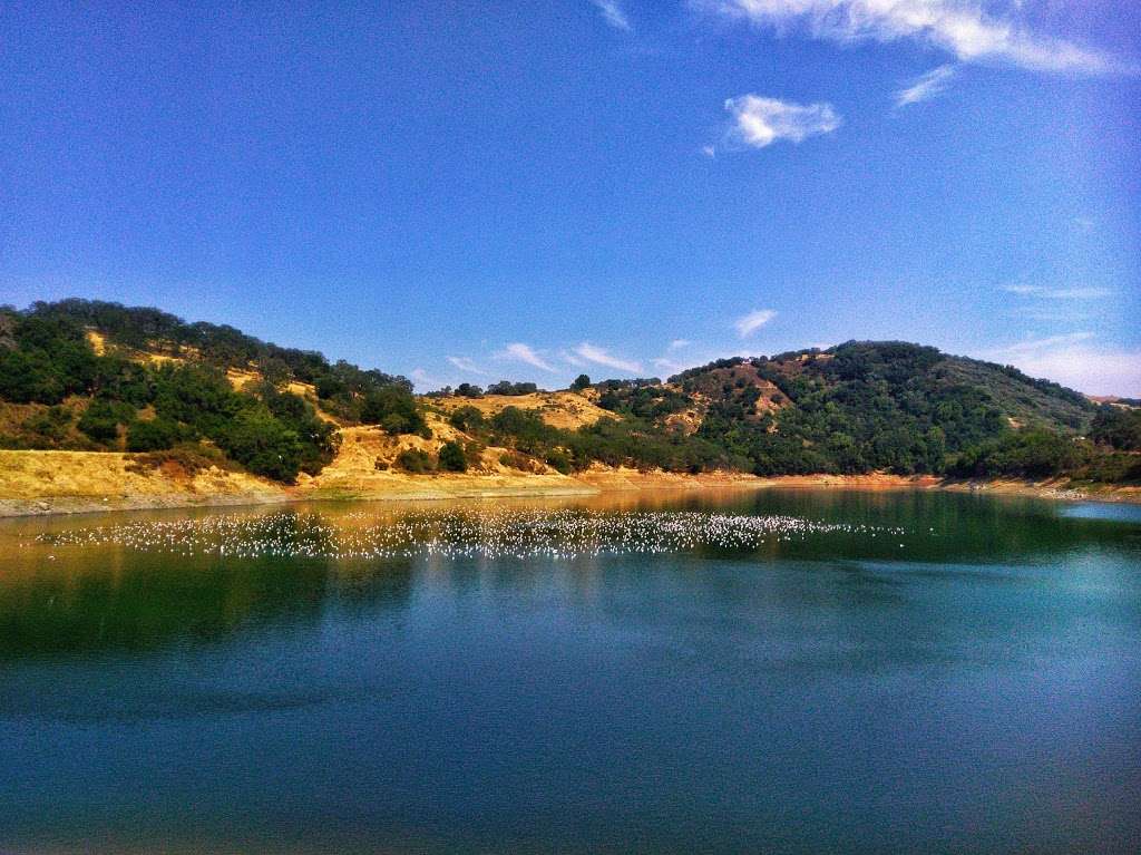 Guadalupe Reservoir County Park | Los Gatos, CA 95032, USA